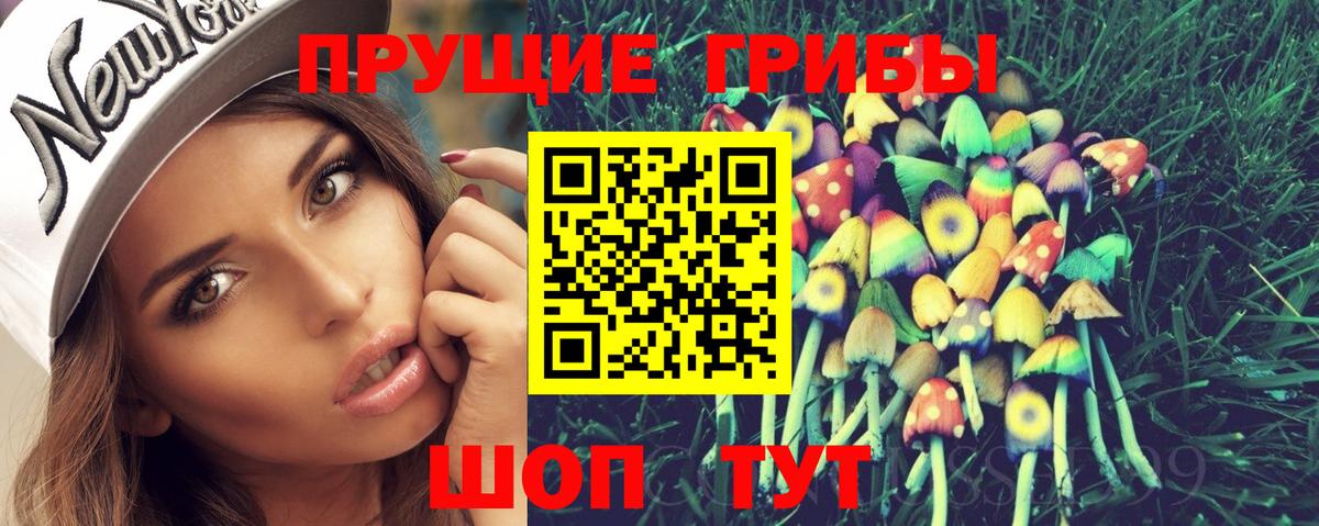 купить наркоту  Вход с VPN  Кольчугино  Галлюциногенные грибы MAGIC MUSHROOMS 