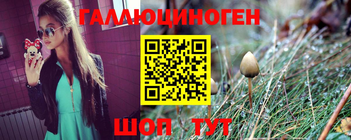Галлюциногенные грибы Psilocybine cubensis Кольчугино